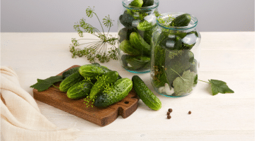 cucumber recipes